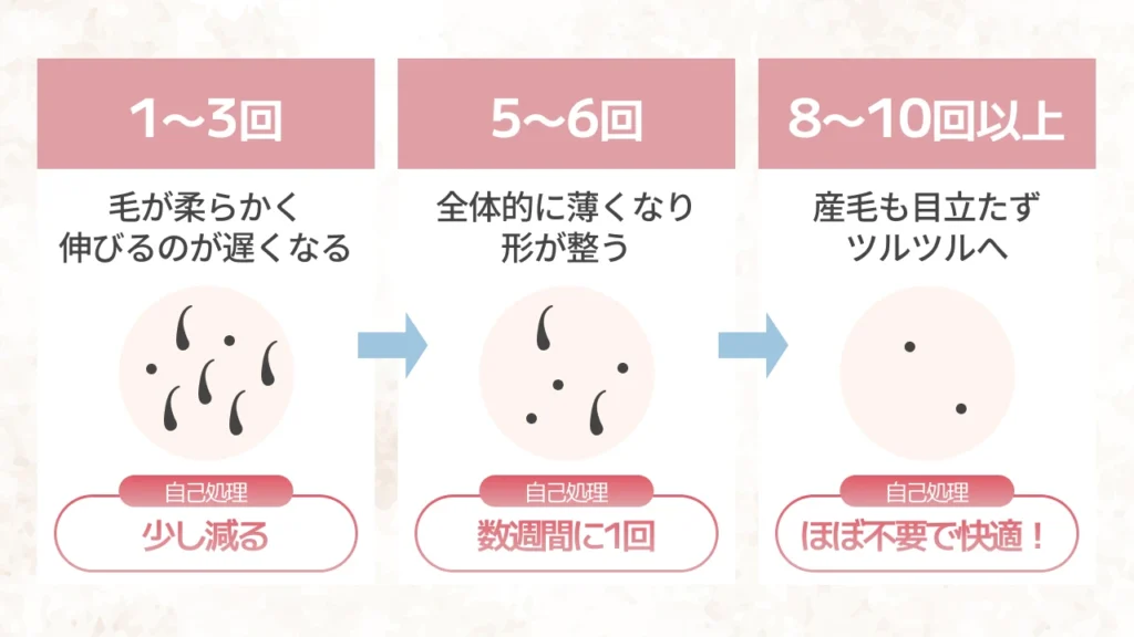 医療脱毛の施術回数ごとの経過目安と毛量の変化