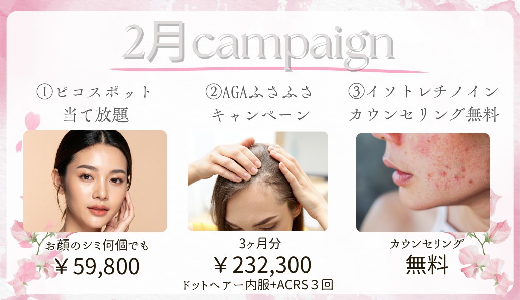 今月のキャンペーン